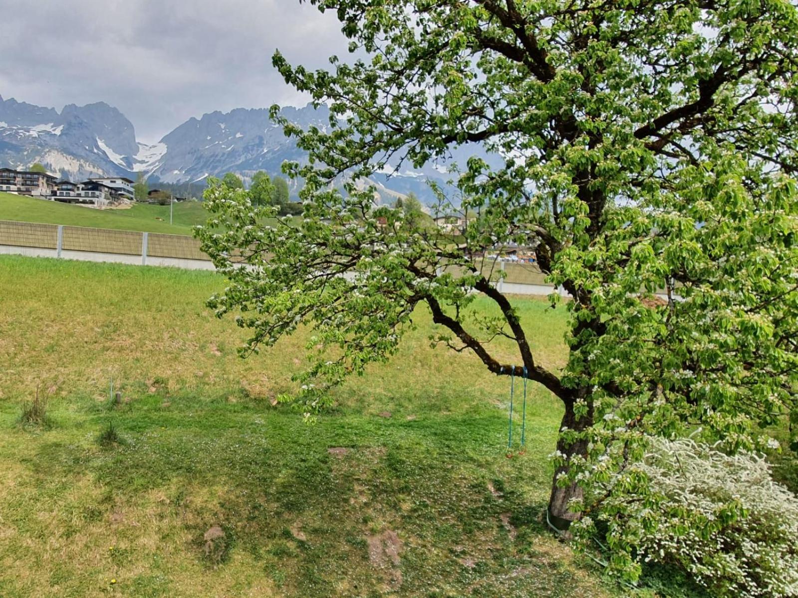 Haus Strobler Apartment Going am Wilden Kaiser Room photo